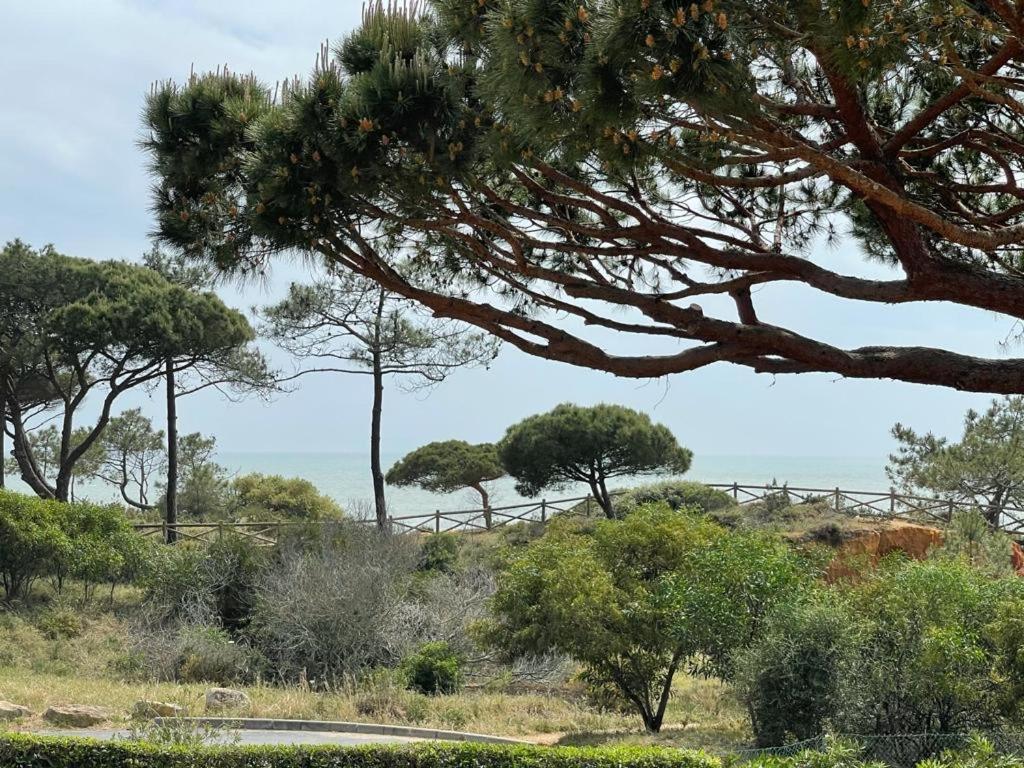 Praia Da Falesia Alfa Mar Albufeira 奥霍斯德古阿 外观 照片