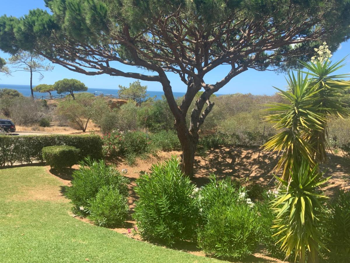 Praia Da Falesia Alfa Mar Albufeira 奥霍斯德古阿 外观 照片